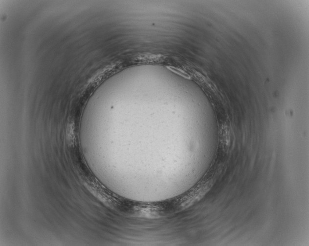 X0000085010564200703261158