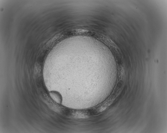 X0000085010565200703261158