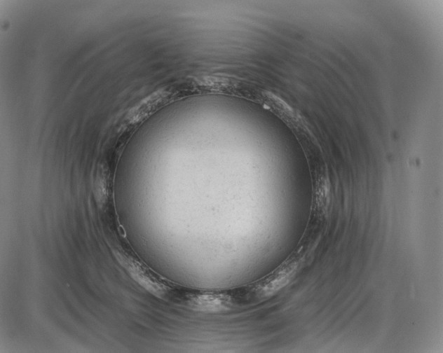 X0000085010566200703261158