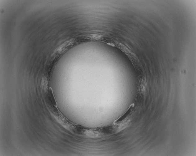 X0000085010568200703261158