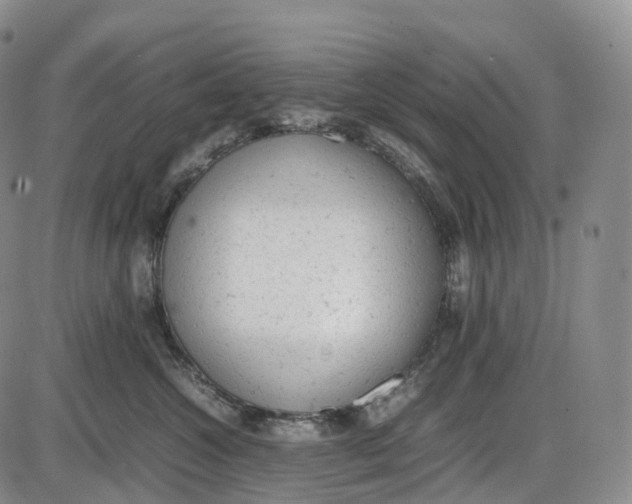 X0000085010572200703261158