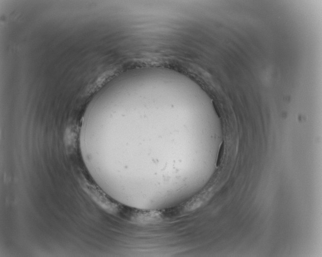 X0000085010576200703261158