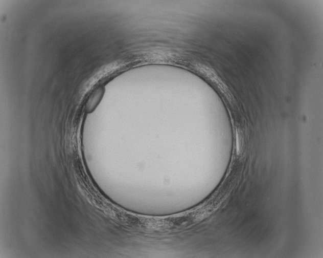 X0000085010579200703261157