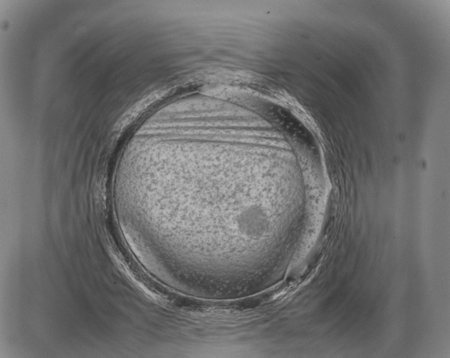 X0000085010581200703261157