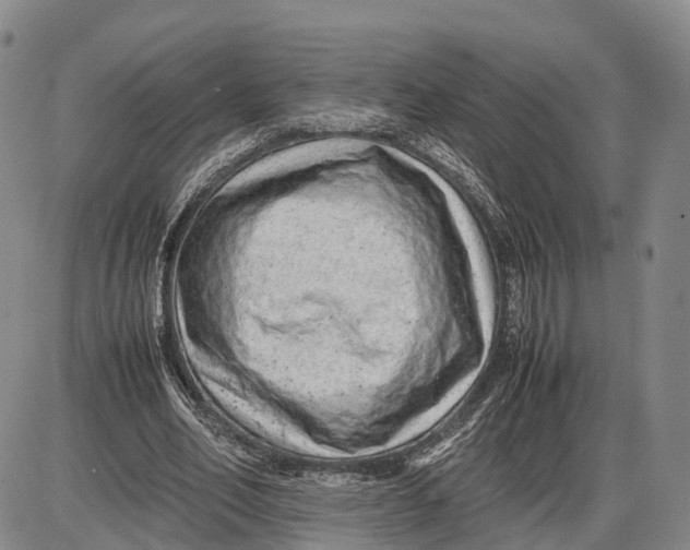 X0000085010582200703261157