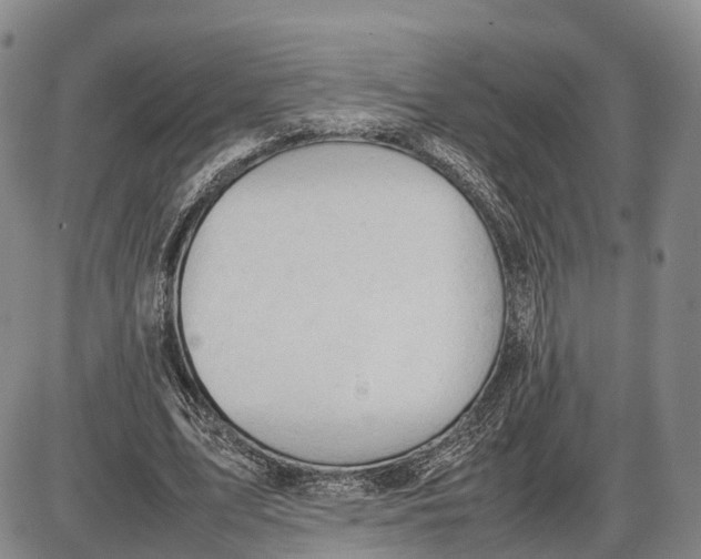 X0000085010583200703261157