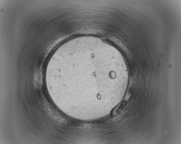 X0000085010584200703261157