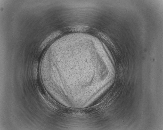 X0000085010586200703261157