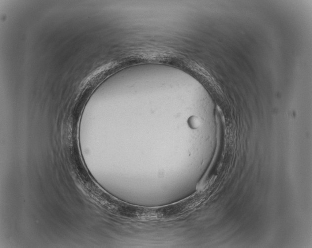 X0000085010587200703261157