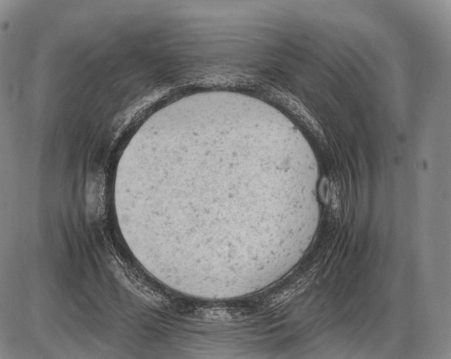 X0000085010588200703261157