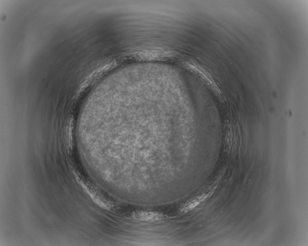 X0000085010590200703261157