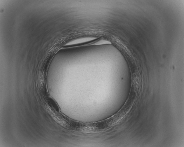 X0000085010593200703261157