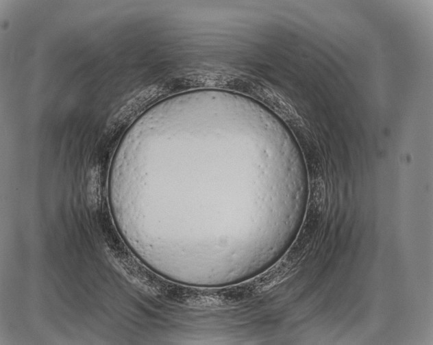 X0000085010594200703261157