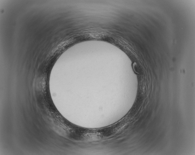 X0000085010595200703261157