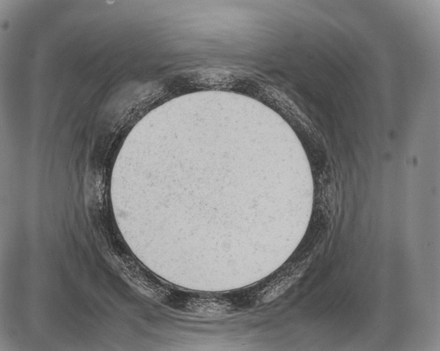 X0000085010597200703261157