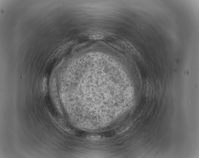 X0000085010598200703261157