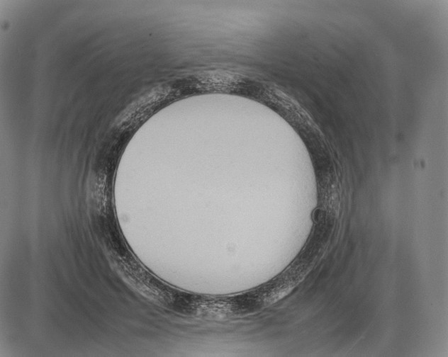 X0000085010599200703261157