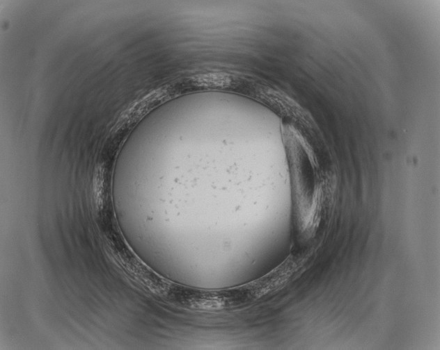 X0000085010600200703261157