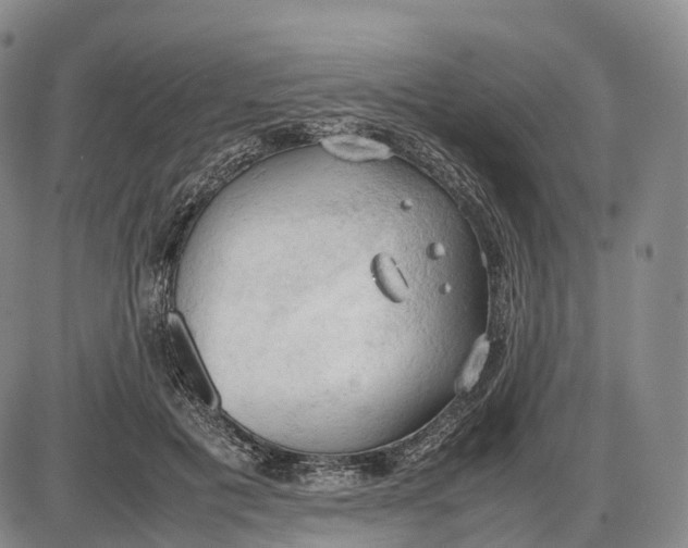 X0000085010601200703261157