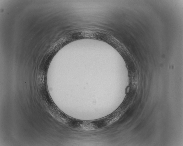 X0000085010603200703261157