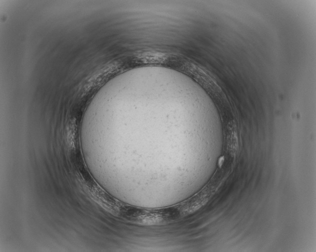 X0000085010604200703261157