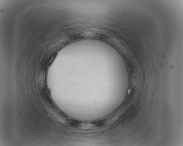 X0000085010605200703261157