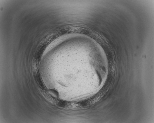 X0000085010607200703261156