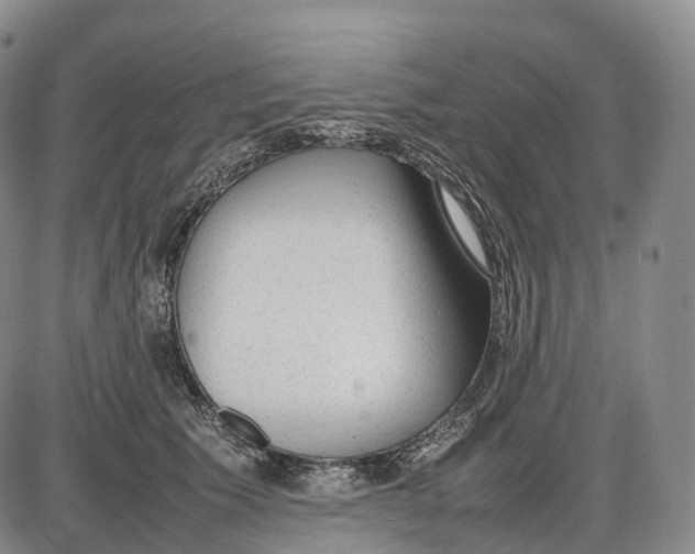 X0000085010609200703261156