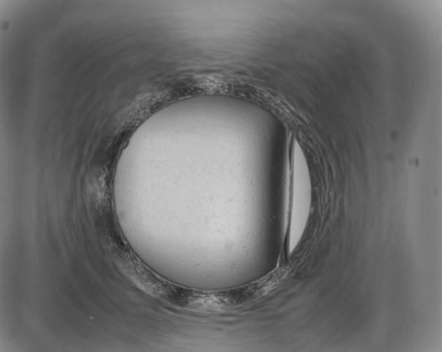 X0000085010611200703261156