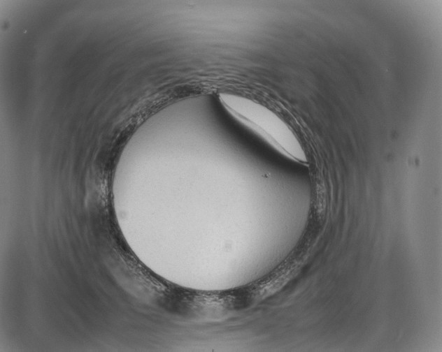 X0000085010613200703261156