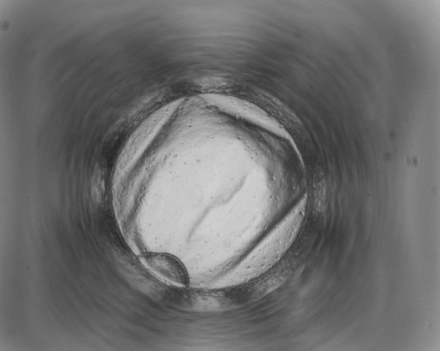 X0000085010618200703261156