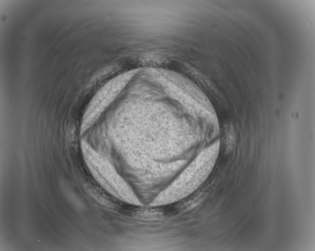 X0000085010619200703261156