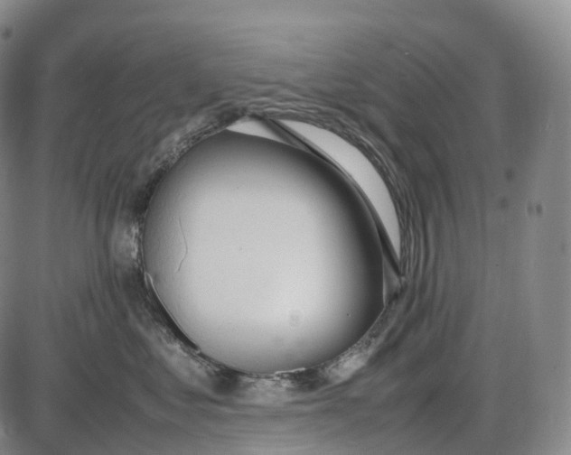 X0000085010621200703261156