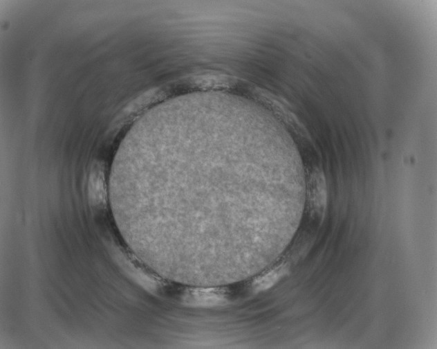 X0000085010622200703261156