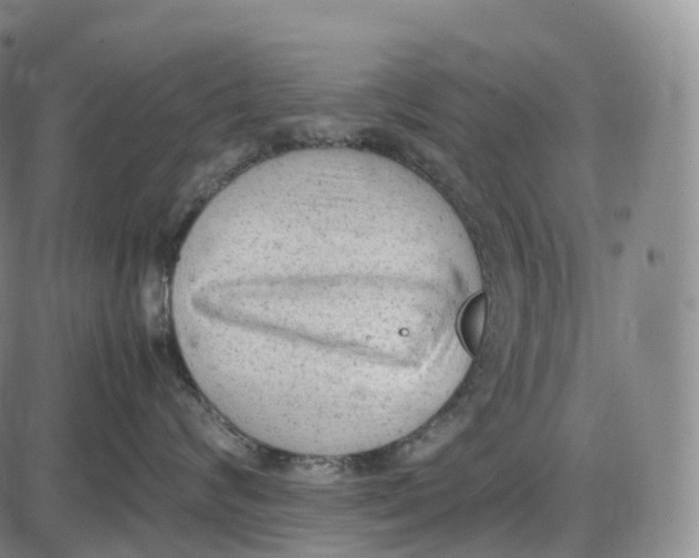 X0000085010624200703261156