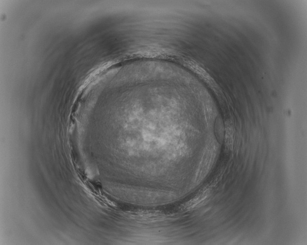 X0000085010626200703261155