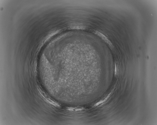 X0000085010627200703261155