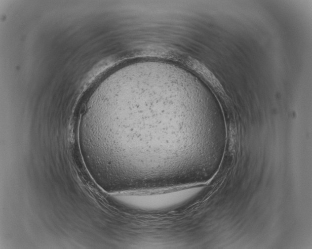 X0000085010628200703261155