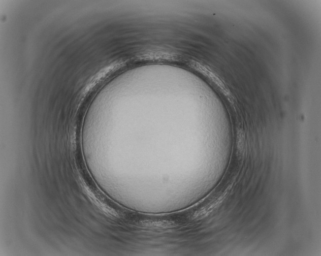 X0000085010629200703261155