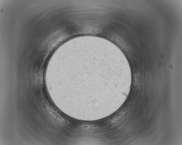 X0000085010632200703261156