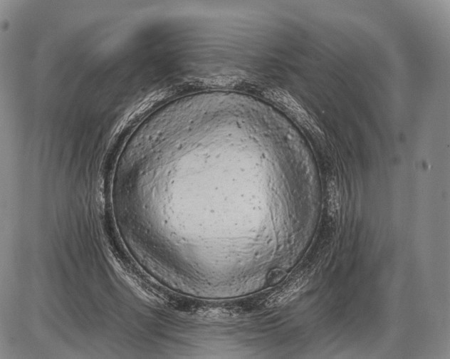 X0000085010634200703261156