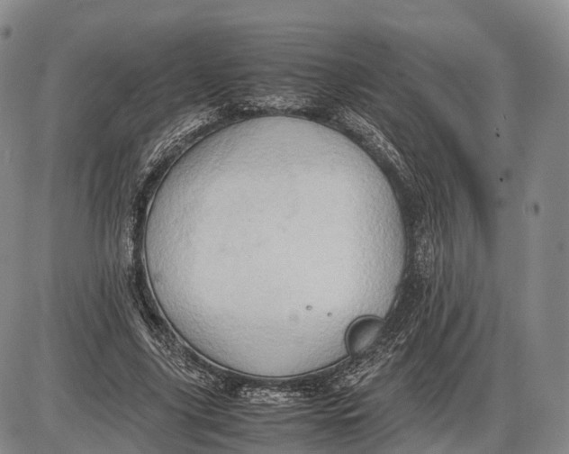 X0000085010635200703261156