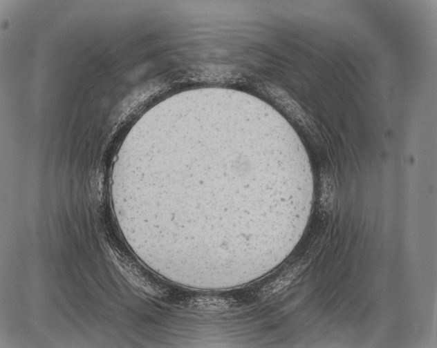 X0000085010636200703261156