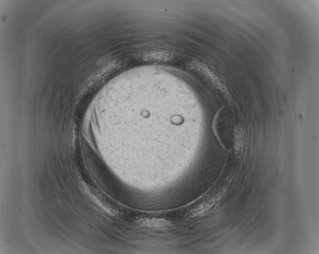 X0000085010637200703261156