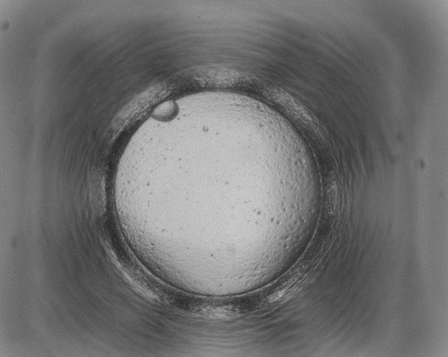 X0000085010638200703261156