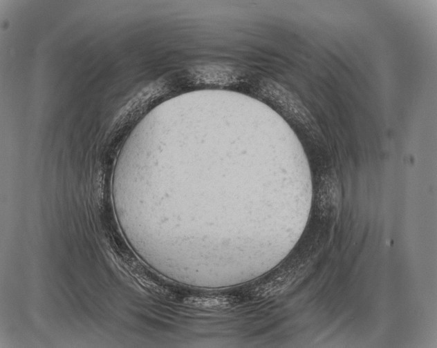 X0000085010639200703261156