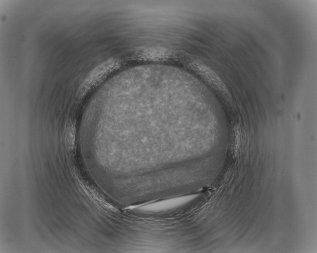 X0000085010640200703261156