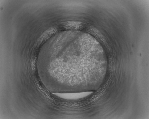 X0000085010641200703261156