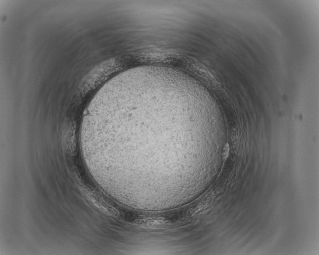 X0000085010642200703261156