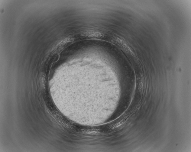 X0000085010643200703261156